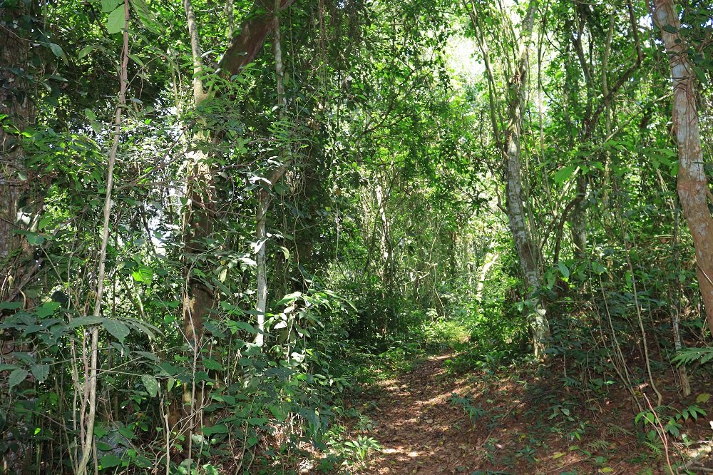 Sustainable community development